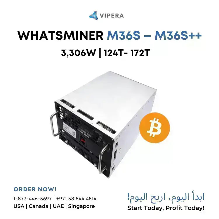 vipera